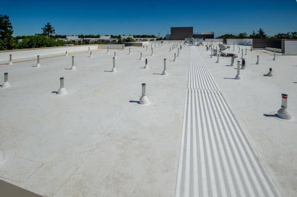 Best Gutter Replacement  in Wildomar, CA